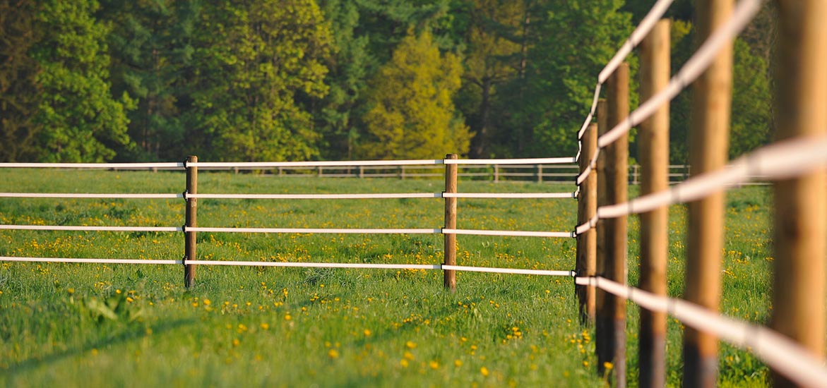 Comment bien choisir sa clôture électrique ? Comment bien choisir sa clôture électrique ?