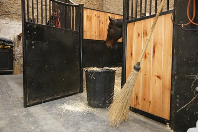 Faites le bon choix de votre litière pour votre cheval