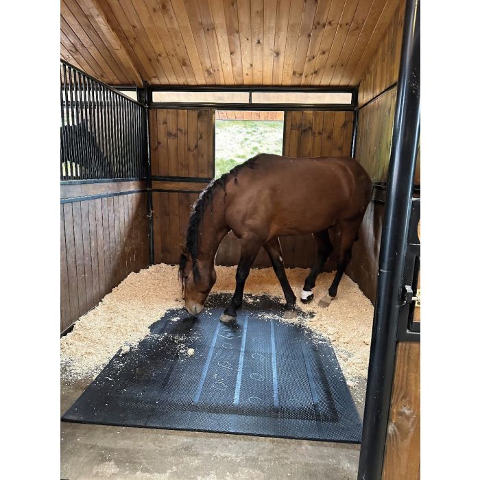 Matelas de box Bubble King