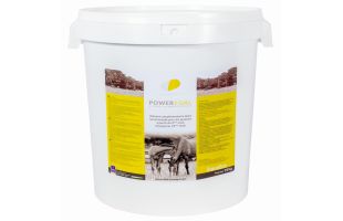 Power Foal - 15kg