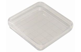 Boîtes de pétri quadrillées stériles - 10 pièces
