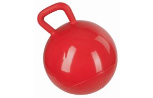 Ballon pour chevaux - Play Ball