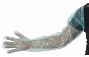 Gants d'insémination équine super sensitif - 100 pièces