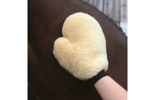 Gant de pansage et lustrage