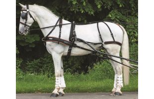 Harnais marathon - T. cheval de trait