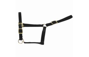 Licol nylon doublé cuir - T. cheval de trait