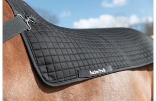 Chauffe dos Back Warmer Royal - Back On Track