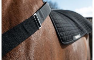 Collier pour chauffe dos Back Warmer Royal - Back On Track