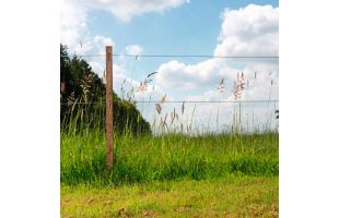 Fil High Tensile Ø2.5mm 625m