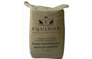 Préfané Ray Grass Equinor