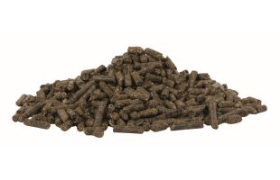 Granulés de Sainfoin - 20kg