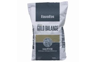 Gold Balance - 20kg