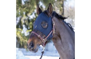 Bonnet Wahlsten Healing Titanium - T.Cheval