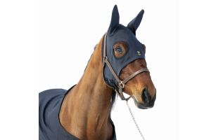 Bonnet Wahlsten Healing Titanium avec oreilles - T.Cheval