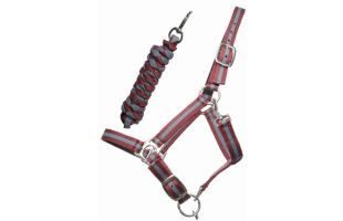 Licol et longe nylon doublé cuir