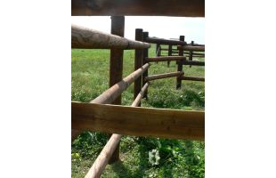 Lisse demi-rond en pin CL4