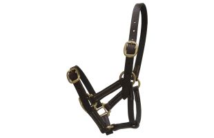 Licol cuir - Latigo/Celtic Equine