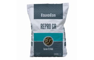 Repro GR