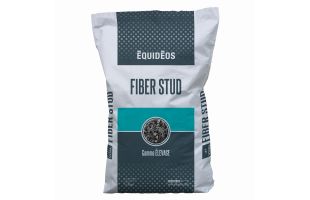 Fiber Stud