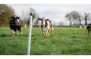 Piquet PVC haute densité