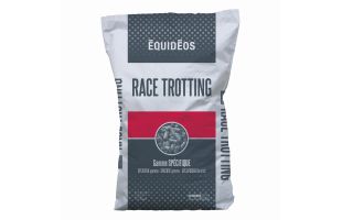 Race Trotting