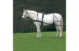 Harnais attelage économique