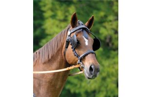 Têtière à oeillères