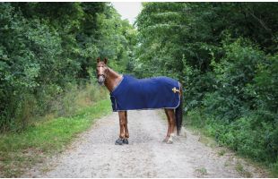 Chemise polaire Équidéos