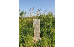 Manchons anti-rongeurs biodégradables à maille carrée - Ø14cm - 60cm - 50 pièces