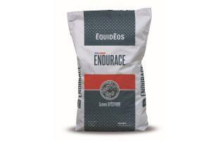 Endurace