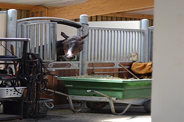 Comment aménager ma graineterie ?