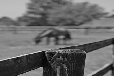 Piquets de clôture : quelle classe choisir ?