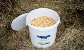 L’intérêt de l’ail pour le cheval