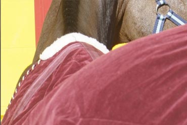 Couvertures pour chevaux, mode d'emploi …
