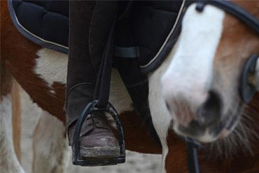 La gourme : comment réagir face a cette maladie hautement contagieuse ?