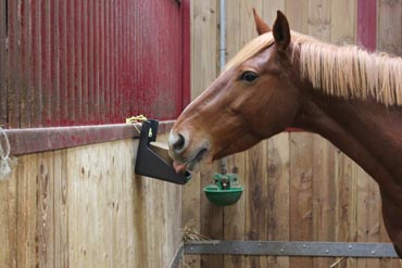 Les minéraux : c’est VITAL !