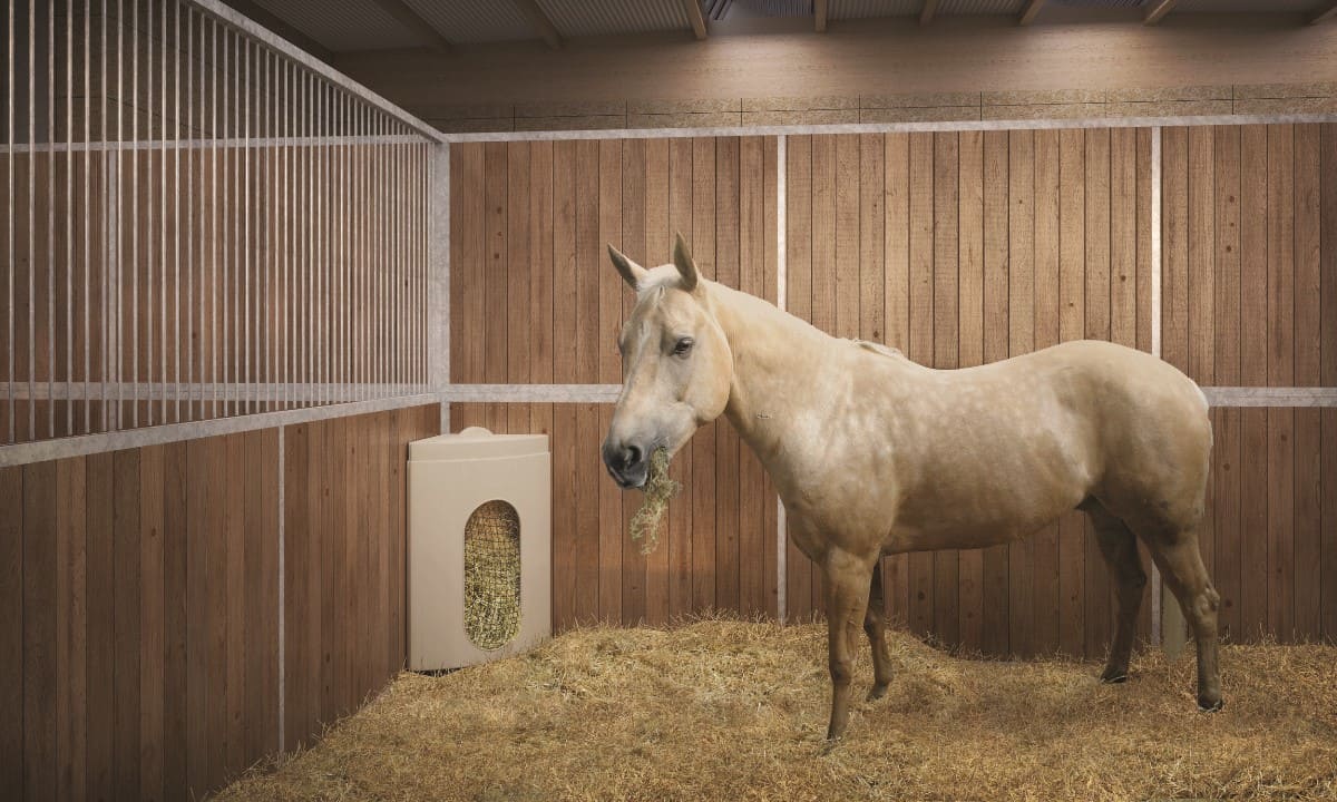 Optimisez l'espace, maximisez le bien-être : découvrez notre nouveau râtelier d'angle le HAY FEEDER